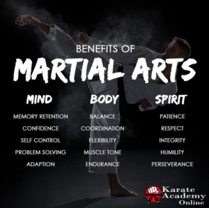 Benefits of Martial Arts Training